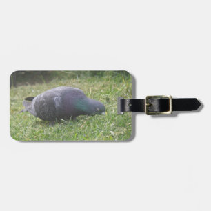 Sleeping Pigeon Custom Luggage Tag