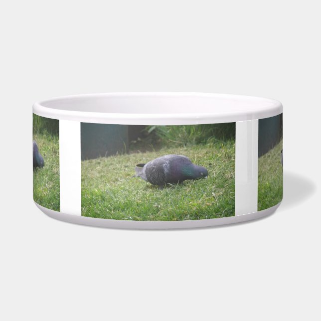 Sleeping Pigeon Dog Bowl (Front)