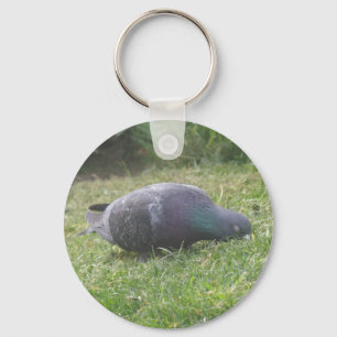 Sleeping Pigeon Keychain
