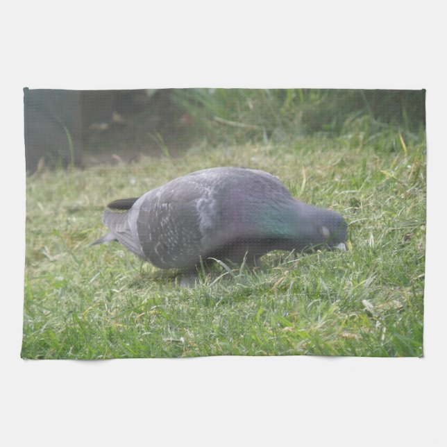 Sleeping Pigeon Kitchen Towel (Horizontal)