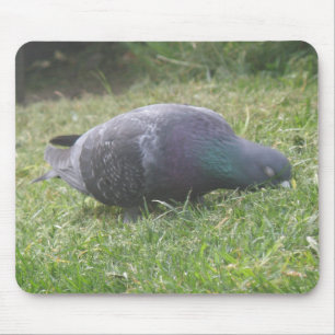 Sleeping Pigeon Mousepad