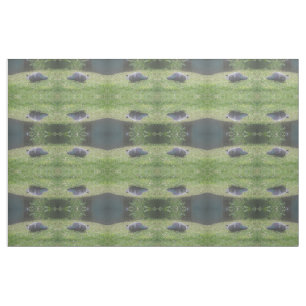 Sleeping Pigeon Patterned Animal Craft Fabric