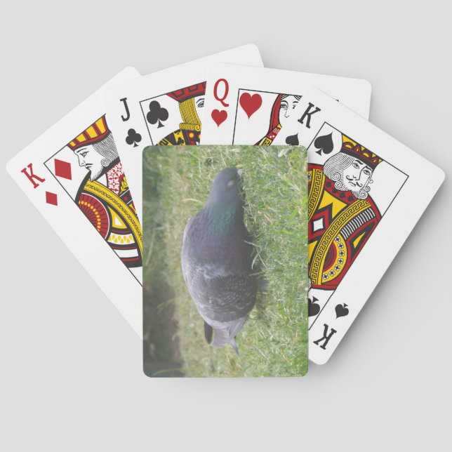 Sleeping Pigeon Playing Cards (Back)