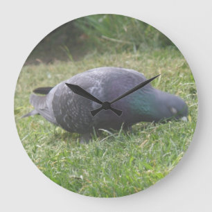 Sleeping Pigeon Wall Clock