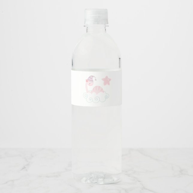 Sleeping Pink Dinosaur        Water Bottle Label (Front)