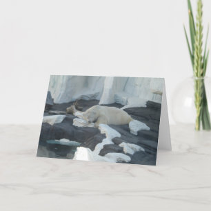 Sleeping Polar Bear Card