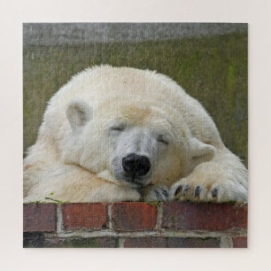 Sleeping Polar bear Jigsaw Puzzle
