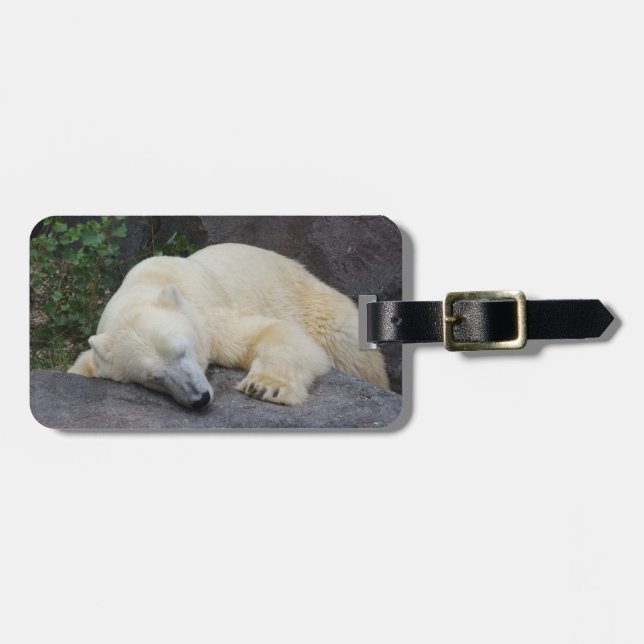 Sleeping Polar Bear Luggage Tag (Front Horizontal)