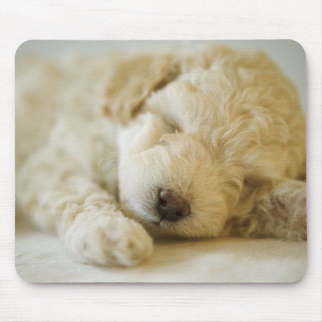 Sleeping Poodle puppy 2 Mouse Mat (Front)
