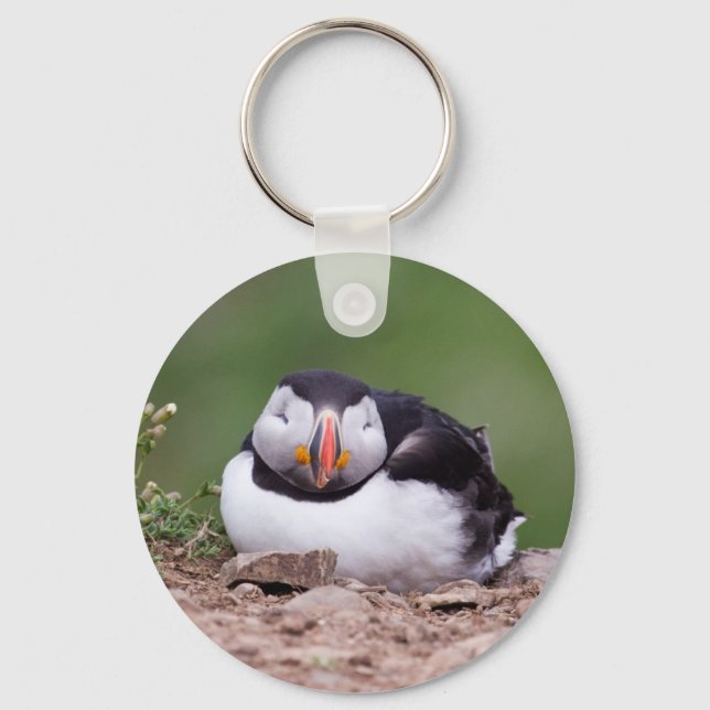 Sleeping Puffin Key Ring (Front)