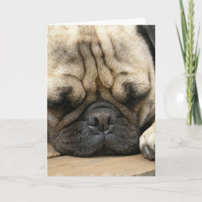 Sleeping Pug Greeting Card (Front)