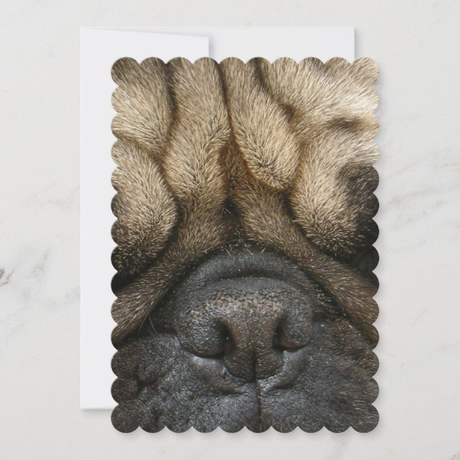 Sleeping Pug Invitation (Front)