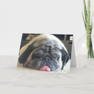 sleeping pug notecard