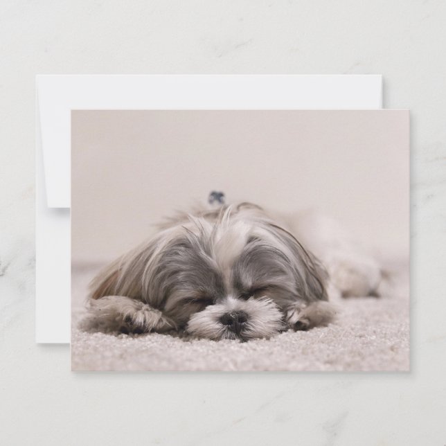 Sleeping Puppy Card (Front)
