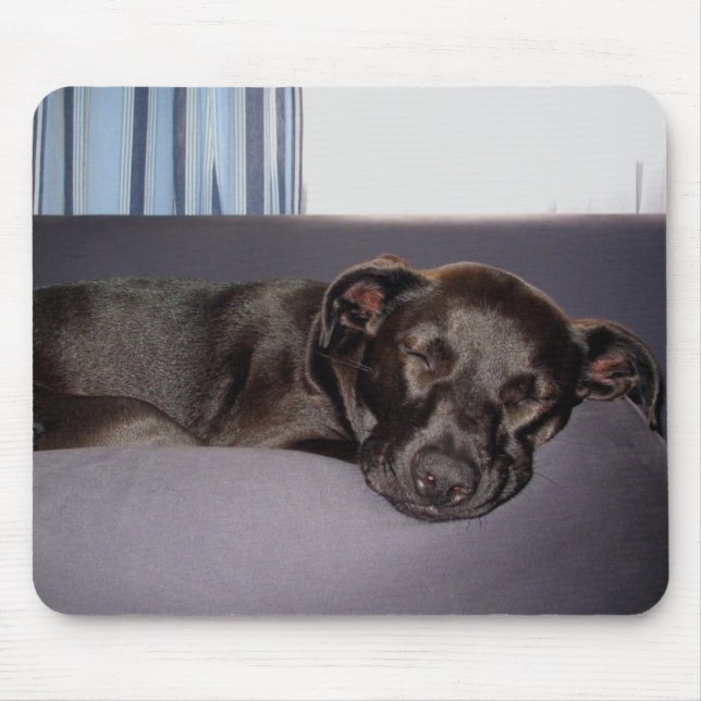 Sleeping Puppy Mouse Mat (Front)