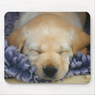Sleeping Puppy Mouse Mat