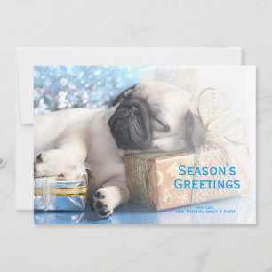 Sleeping puppy pug and Christmas gifts Holiday Card