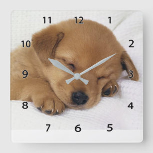 Sleeping Puppy Wall Clock