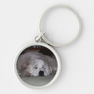 Sleeping Pyr Key Ring