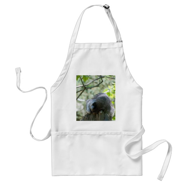 Sleeping Racoon Aprons (Front)
