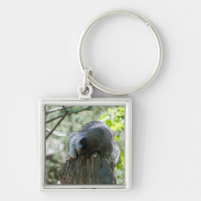 Sleeping Racoon Keychain (Front)