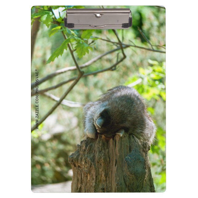 Sleeping Racoon Stickers Clipboard (Front)