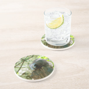 Sleeping Racoon Stickers Coaster