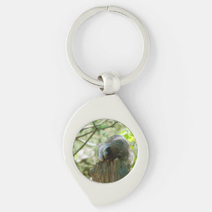 Sleeping Racoon Stickers Key Ring