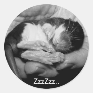 Sleeping Rattie Sticker