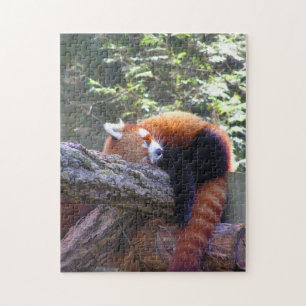 Sleeping Red Panda Jigsaw Puzzle