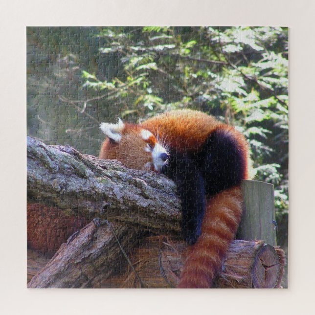 Sleeping Red Panda Jigsaw Puzzle (Vertical)