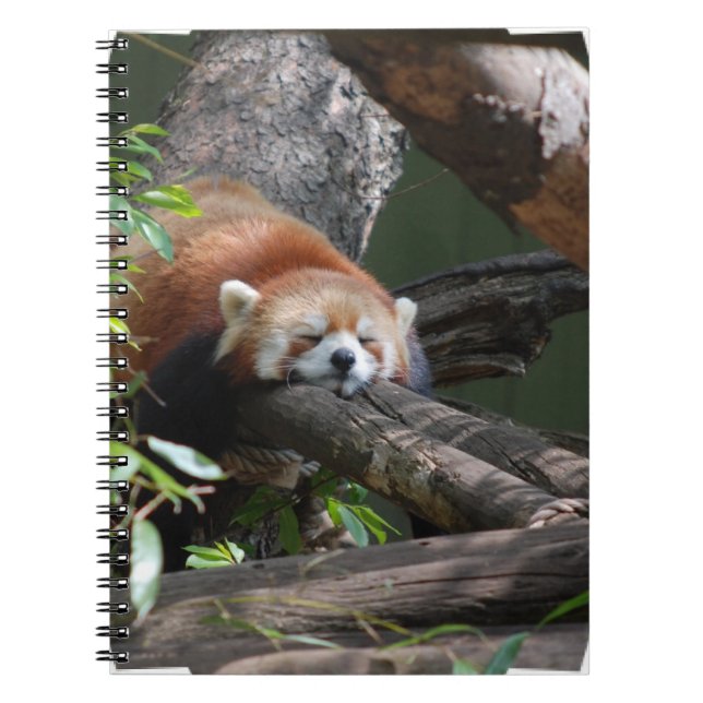 Sleeping Red Panda Notebook (Front)