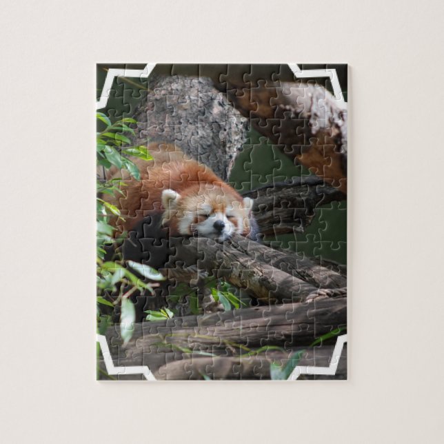 Sleeping Red Panda puzzle (Vertical)