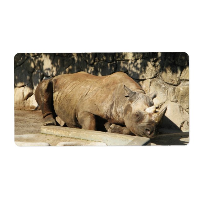 Sleeping Rhino (Front)