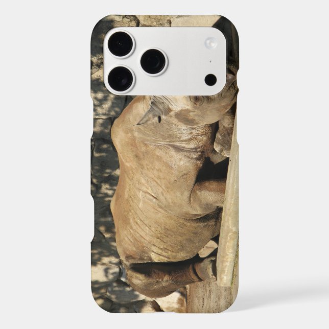 Sleeping Rhino (Back)