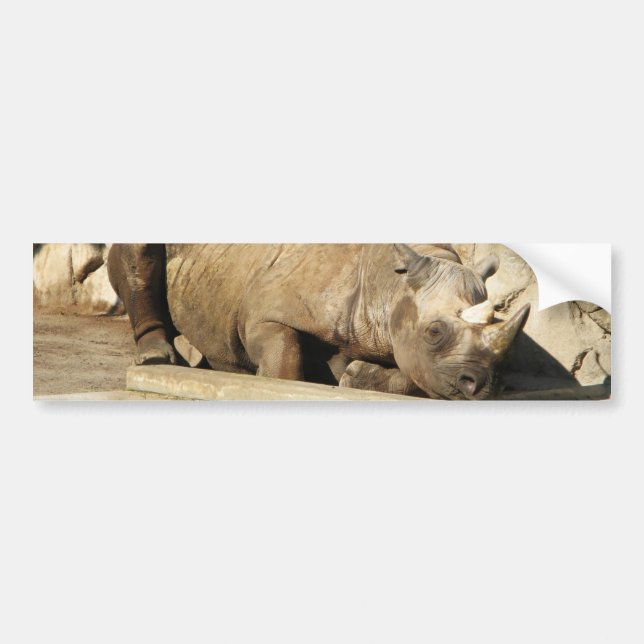 Sleeping Rhino Bumper Sticker (Front)