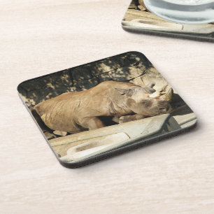 Sleeping Rhino Coaster