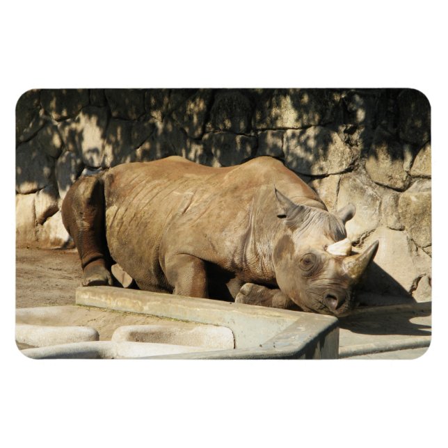 Sleeping Rhino Magnet (Horizontal)