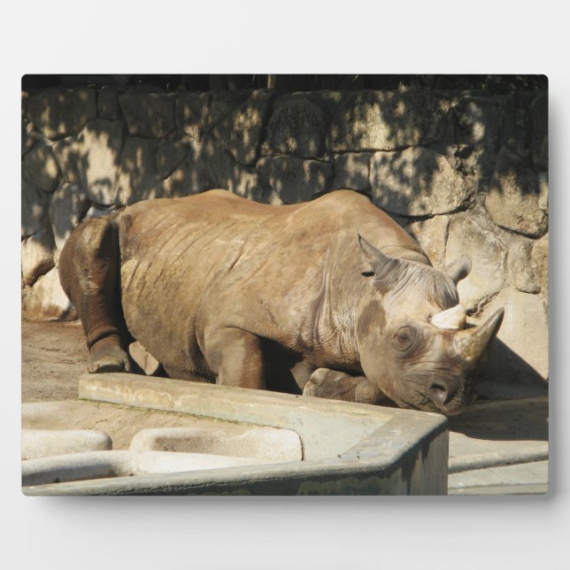 Sleeping Rhino Plaque (Front)