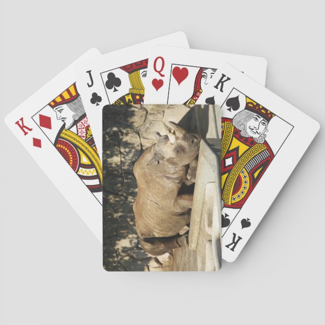 Sleeping Rhino Playing Cards (Back)