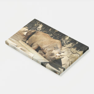 Sleeping Rhino Post-it Notes