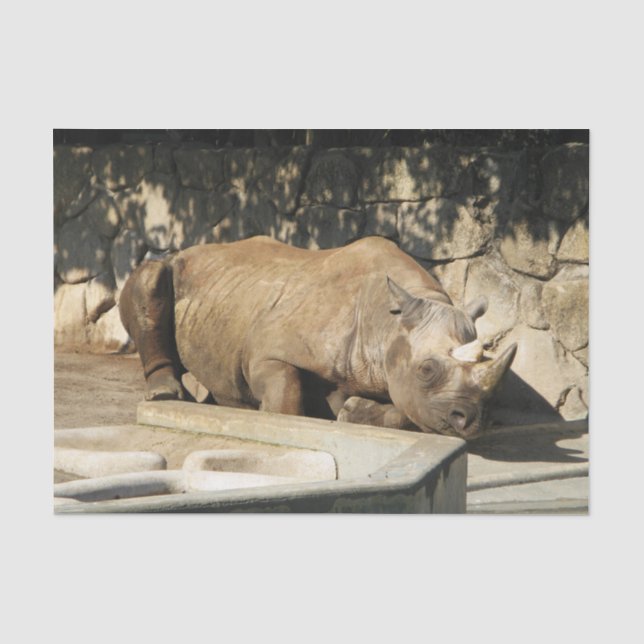 Sleeping Rhino Tissue Paper (Front)