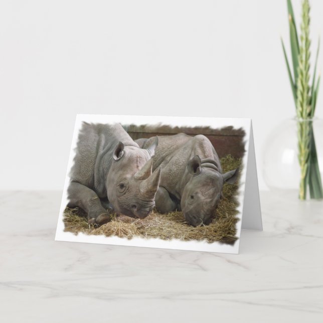 Sleeping Rhinos Greeting Card (Front)
