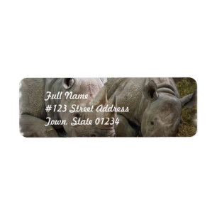 Sleeping Rhinos Mailing Labels