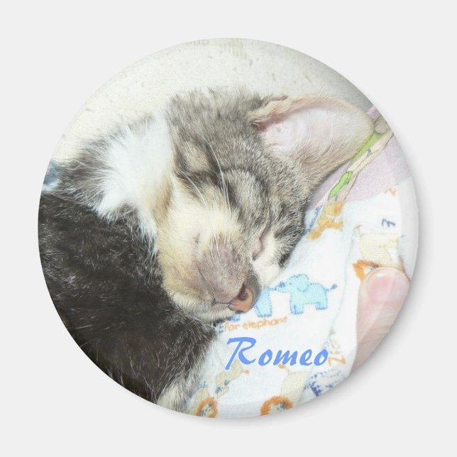sleeping romeo magnet (Front)