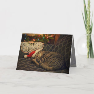 Sleeping Santa Daisy Kitty Cat Kitten Holiday Card