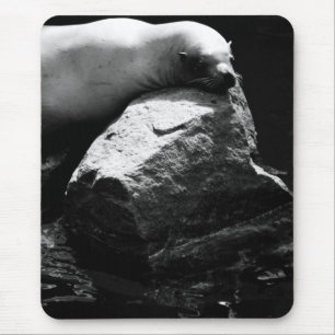 Sleeping Sea Lion .1781 Mouse Mat