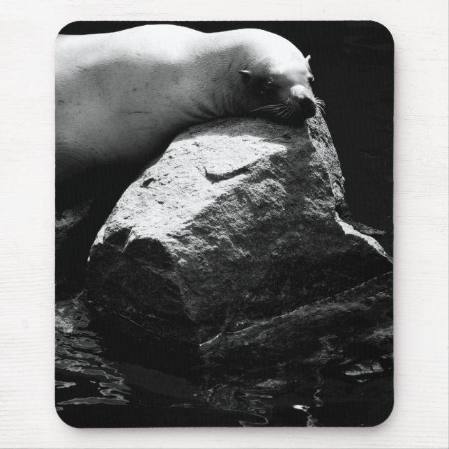 Sleeping Sea Lion .1781 Mouse Mat (Front)