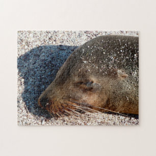 Sleeping Sea Lion Close Up, Jigsaw Puzzle
