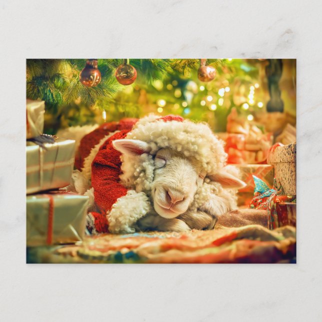 Sleeping sheep under Christmas tree lights Holiday Postcard (Front)